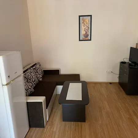 центр солнечного берега